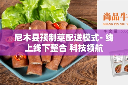 尼木县预制菜配送模式- 线上线下整合 科技领航