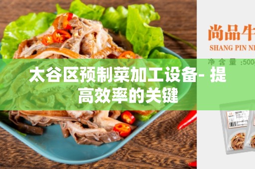 太谷区预制菜加工设备- 提高效率的关键