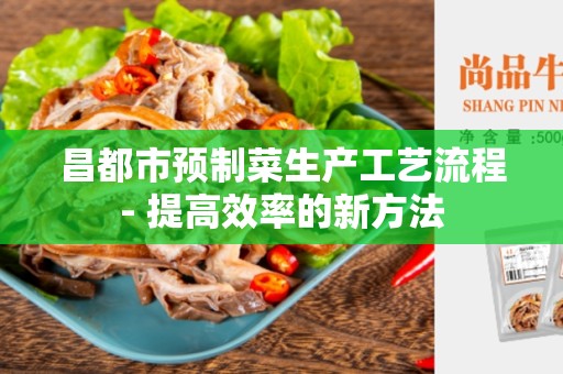 昌都市预制菜生产工艺流程- 提高效率的新方法