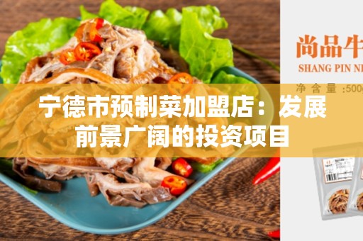 宁德市预制菜加盟店：发展前景广阔的投资项目