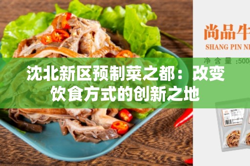 沈北新区预制菜之都：改变饮食方式的创新之地