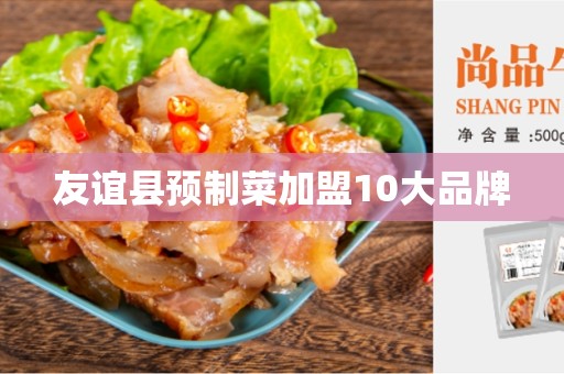 友谊县预制菜加盟10大品牌