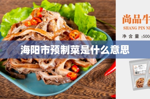 海阳市预制菜是什么意思