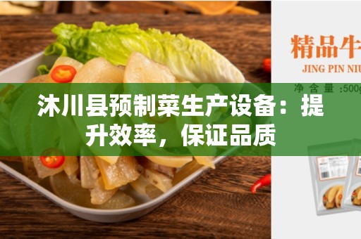 沐川县预制菜生产设备：提升效率，保证品质