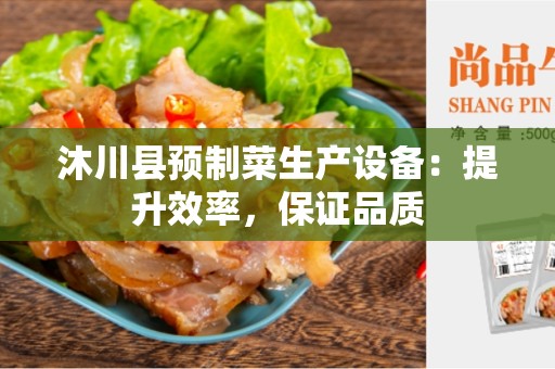 沐川县预制菜生产设备：提升效率，保证品质