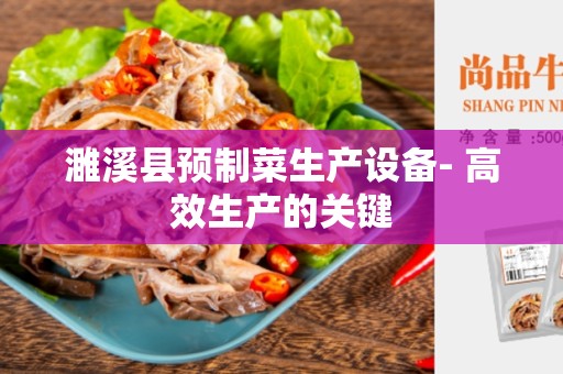濉溪县预制菜生产设备- 高效生产的关键