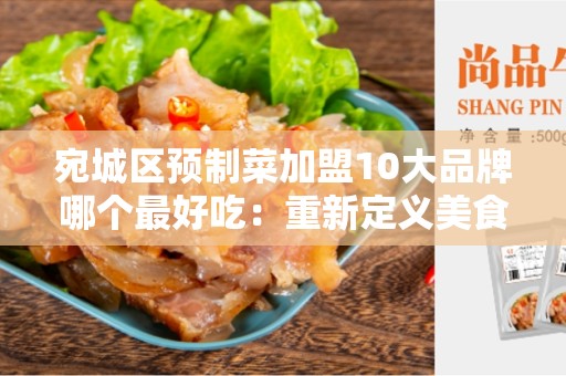 宛城区预制菜加盟10大品牌哪个最好吃：重新定义美食体验