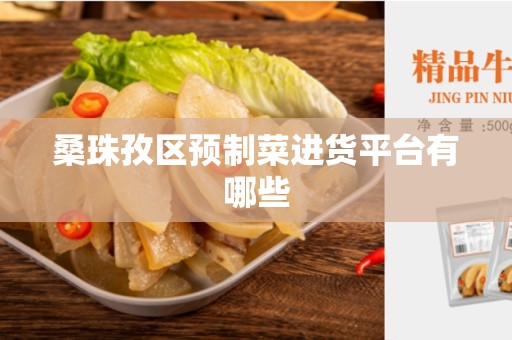 桑珠孜区预制菜进货平台有哪些
