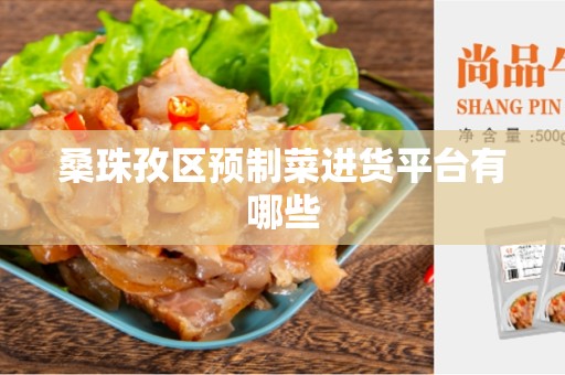 桑珠孜区预制菜进货平台有哪些