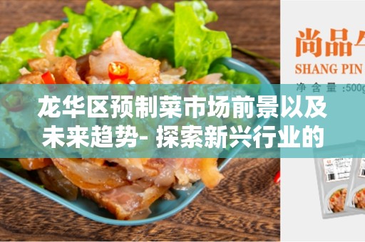 龙华区预制菜市场前景以及未来趋势- 探索新兴行业的发展方向