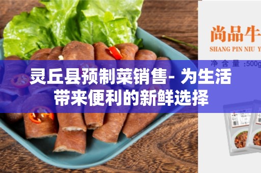 灵丘县预制菜销售- 为生活带来便利的新鲜选择