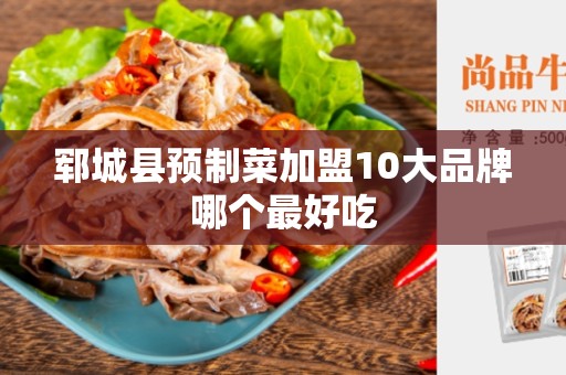 郓城县预制菜加盟10大品牌哪个最好吃
