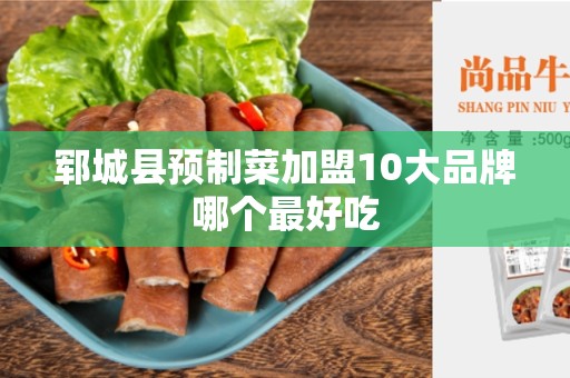 郓城县预制菜加盟10大品牌哪个最好吃