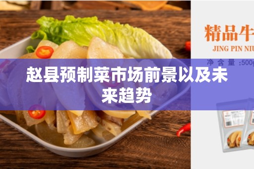赵县预制菜市场前景以及未来趋势