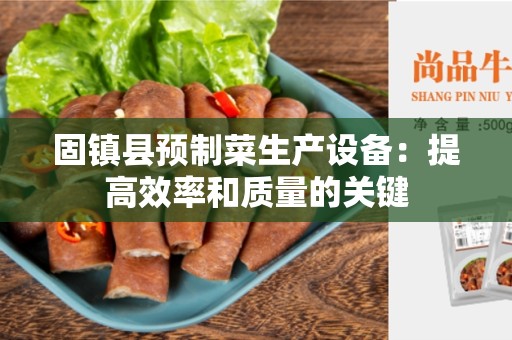 固镇县预制菜生产设备：提高效率和质量的关键