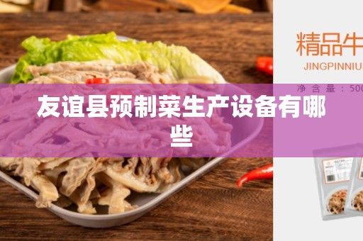 友谊县预制菜生产设备有哪些