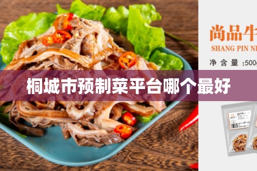 桐城市预制菜平台哪个最好