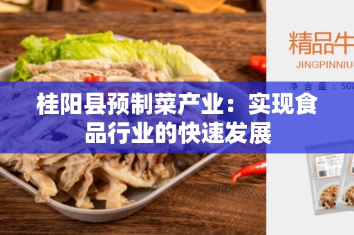 桂阳县预制菜产业：实现食品行业的快速发展