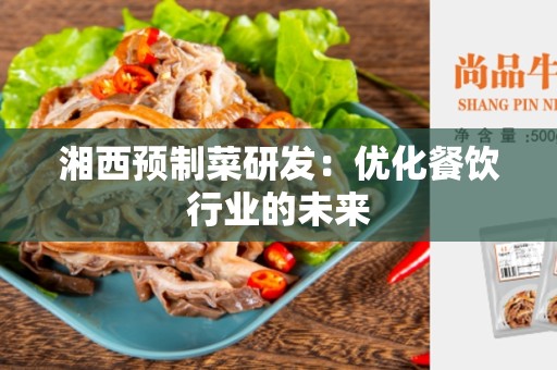 湘西预制菜研发：优化餐饮行业的未来