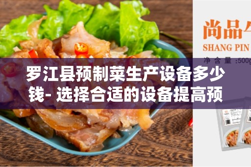 罗江县预制菜生产设备多少钱- 选择合适的设备提高预制菜生产效率