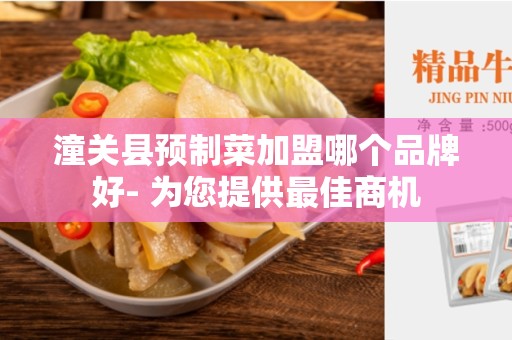 潼关县预制菜加盟哪个品牌好- 为您提供最佳商机