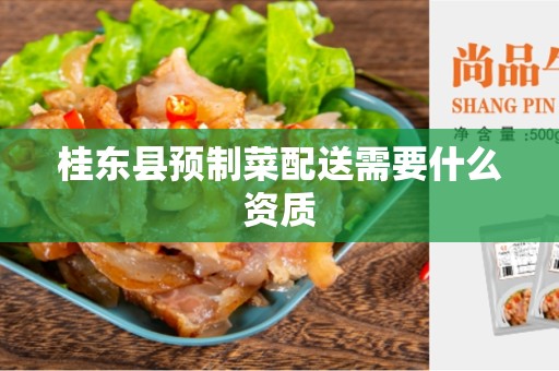桂东县预制菜配送需要什么资质
