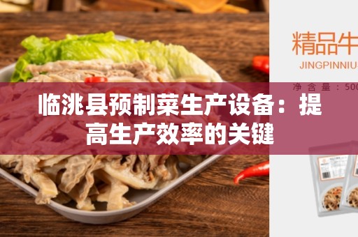 临洮县预制菜生产设备：提高生产效率的关键