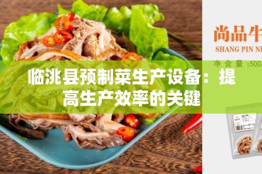 临洮县预制菜生产设备：提高生产效率的关键