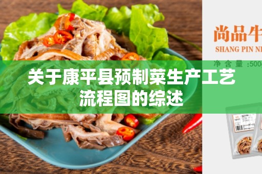 关于康平县预制菜生产工艺流程图的综述