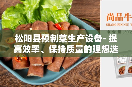 松阳县预制菜生产设备- 提高效率、保持质量的理想选择