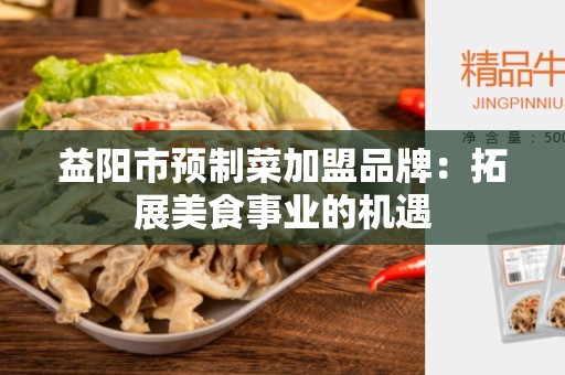 益阳市预制菜加盟品牌：拓展美食事业的机遇