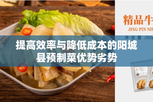 提高效率与降低成本的阳城县预制菜优势劣势