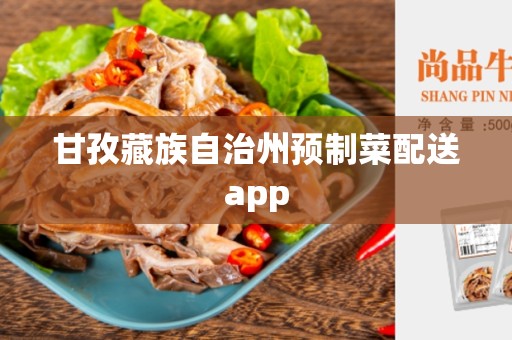 甘孜藏族自治州预制菜配送app
