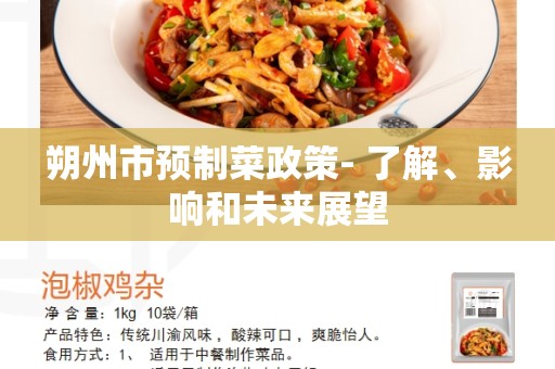 朔州市预制菜政策- 了解、影响和未来展望
