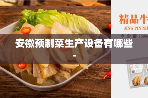安徽预制菜生产设备有哪些-