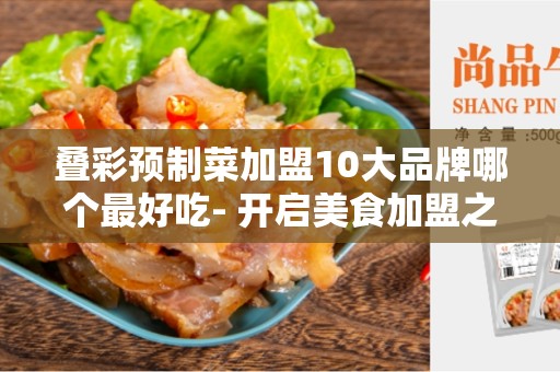 叠彩预制菜加盟10大品牌哪个最好吃- 开启美食加盟之旅
