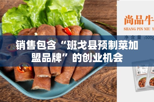 销售包含“班戈县预制菜加盟品牌”的创业机会