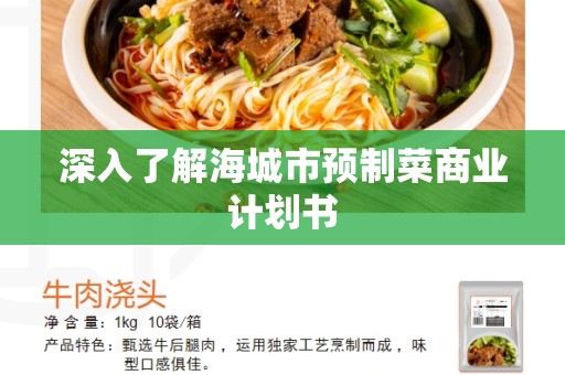 深入了解海城市预制菜商业计划书
