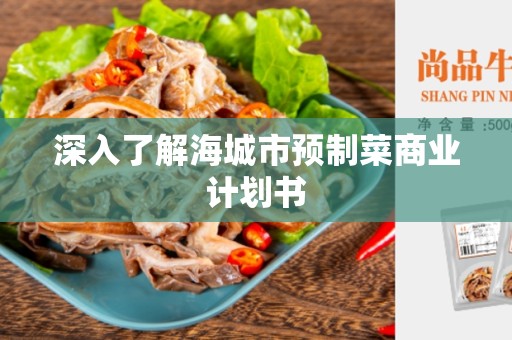 深入了解海城市预制菜商业计划书