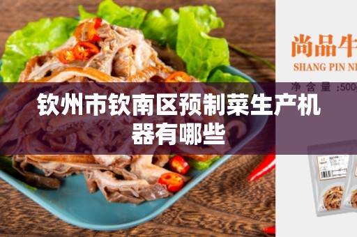 钦州市钦南区预制菜生产机器有哪些