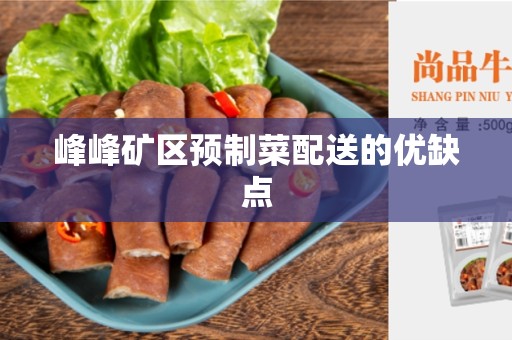 峰峰矿区预制菜配送的优缺点