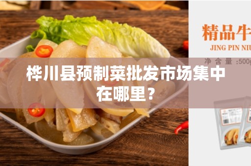 桦川县预制菜批发市场集中在哪里？