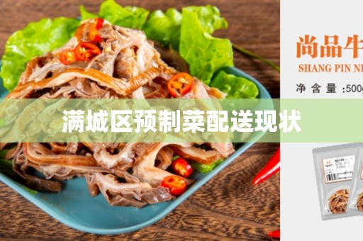 满城区预制菜配送现状