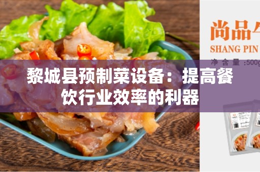 黎城县预制菜设备：提高餐饮行业效率的利器