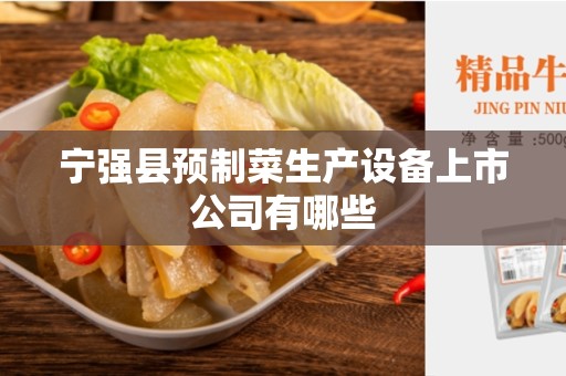 宁强县预制菜生产设备上市公司有哪些