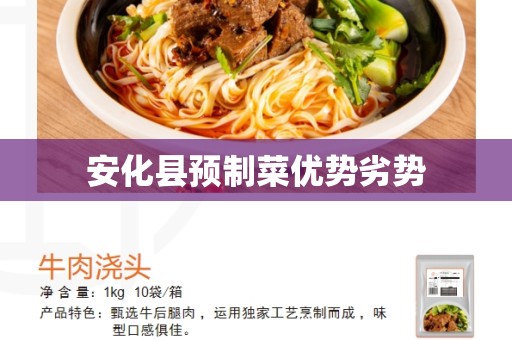 安化县预制菜优势劣势