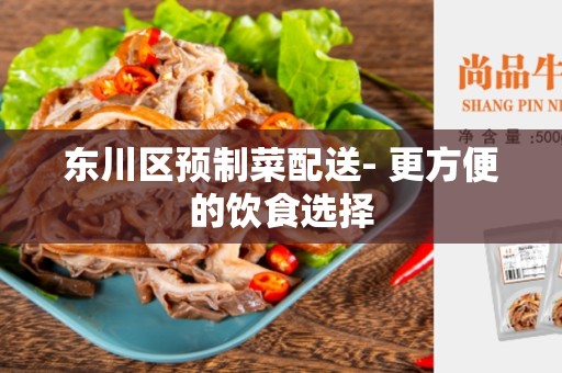 东川区预制菜配送- 更方便的饮食选择