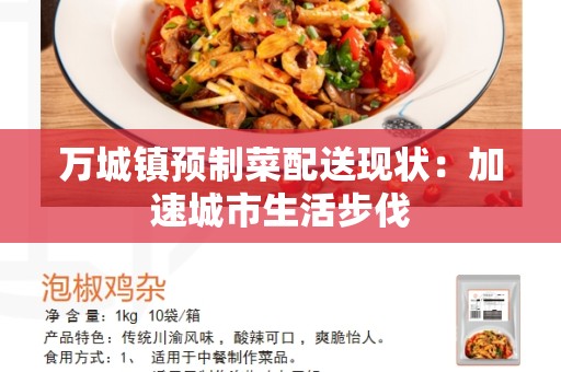 万城镇预制菜配送现状：加速城市生活步伐