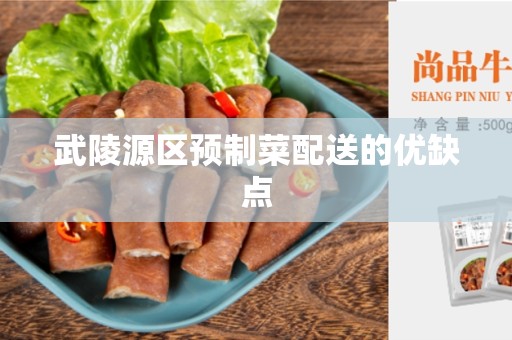 武陵源区预制菜配送的优缺点