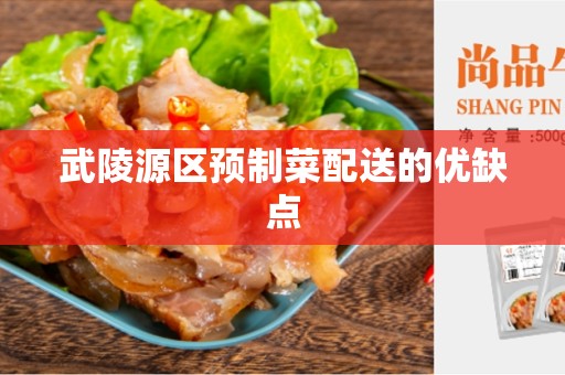 武陵源区预制菜配送的优缺点